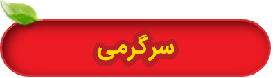 سرگرمی